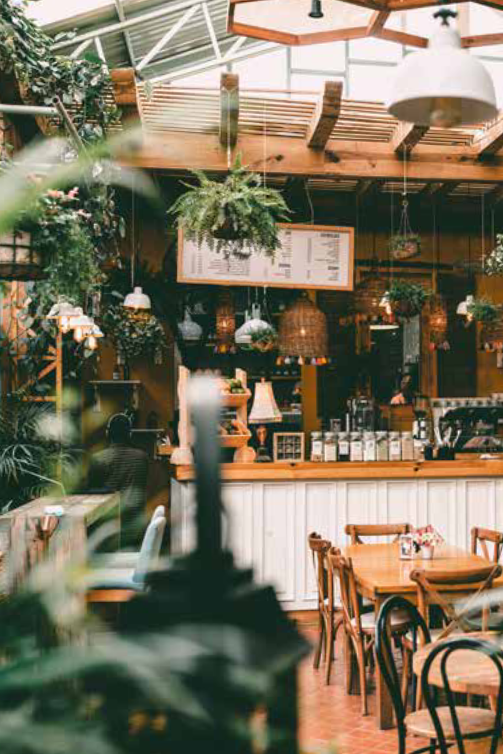 műnövények az étteremben