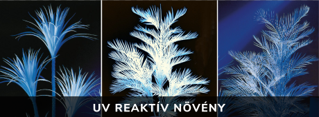 UV reaktív növény
