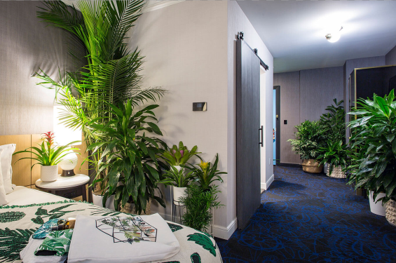 hotelszova dekoráció műnövény