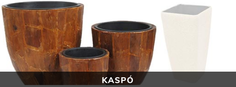Kaspó
