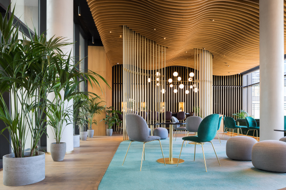 műnövény a lobby
