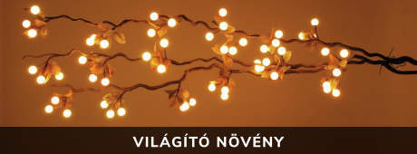 Világító növény
