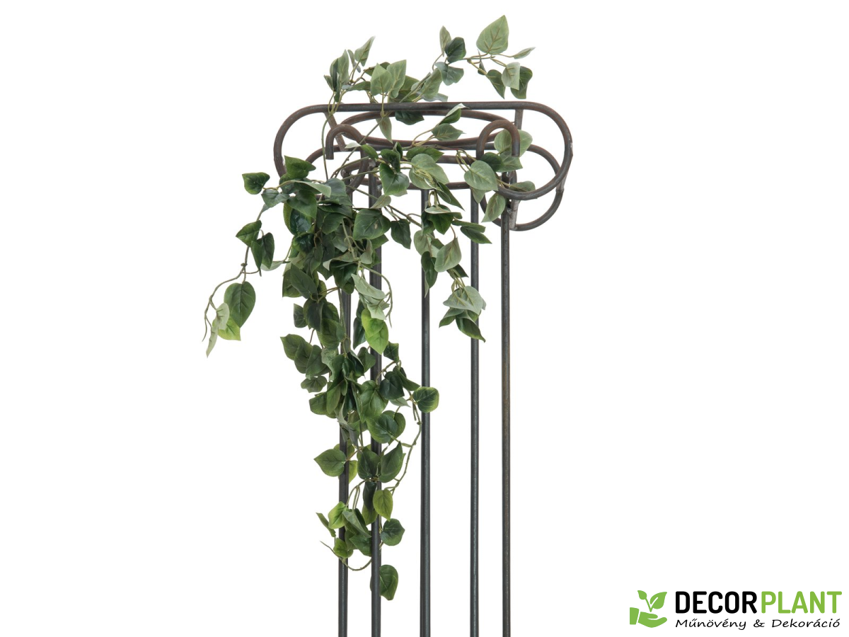 EUROPALMS Philo bush classic EUROPALMS Philo bush classic