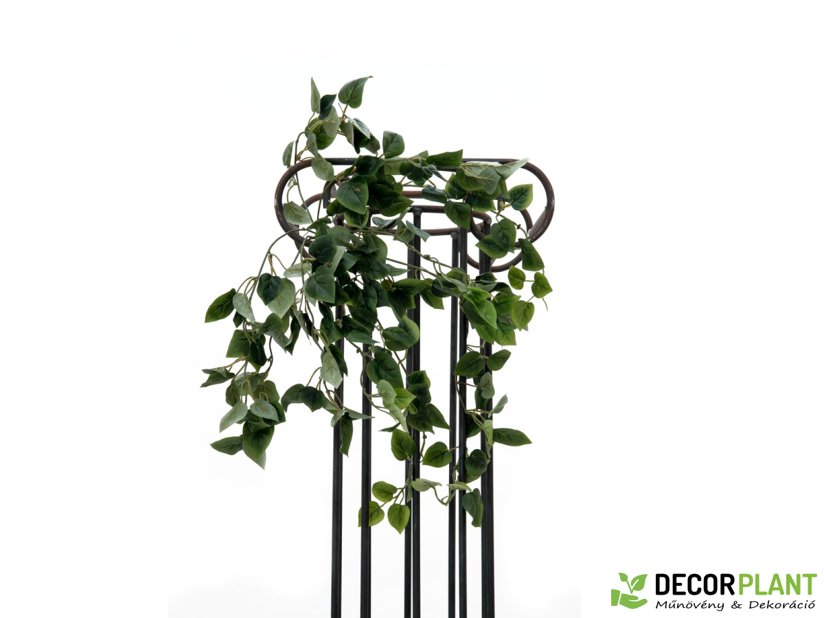 EUROPALMS Philo bush classic