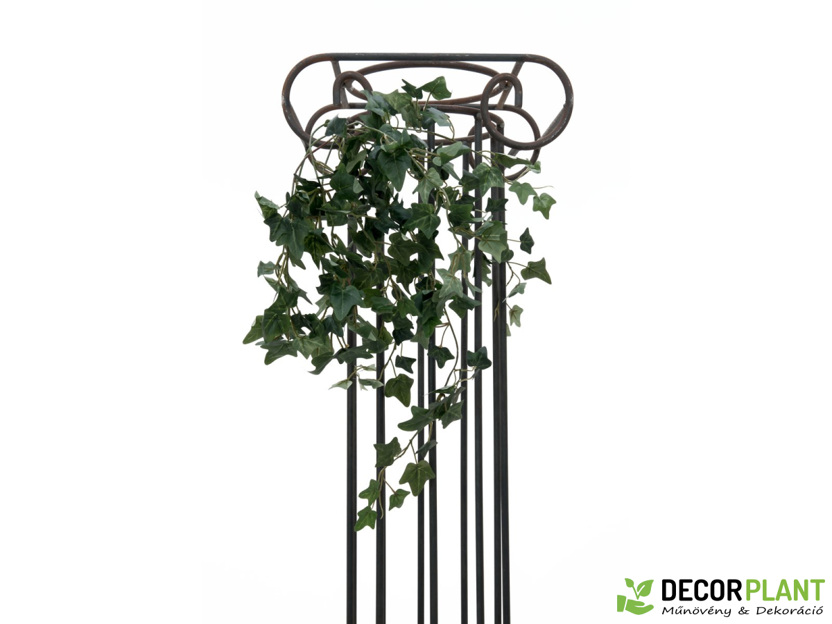 EUROPALMS Ivy bush tendril classic