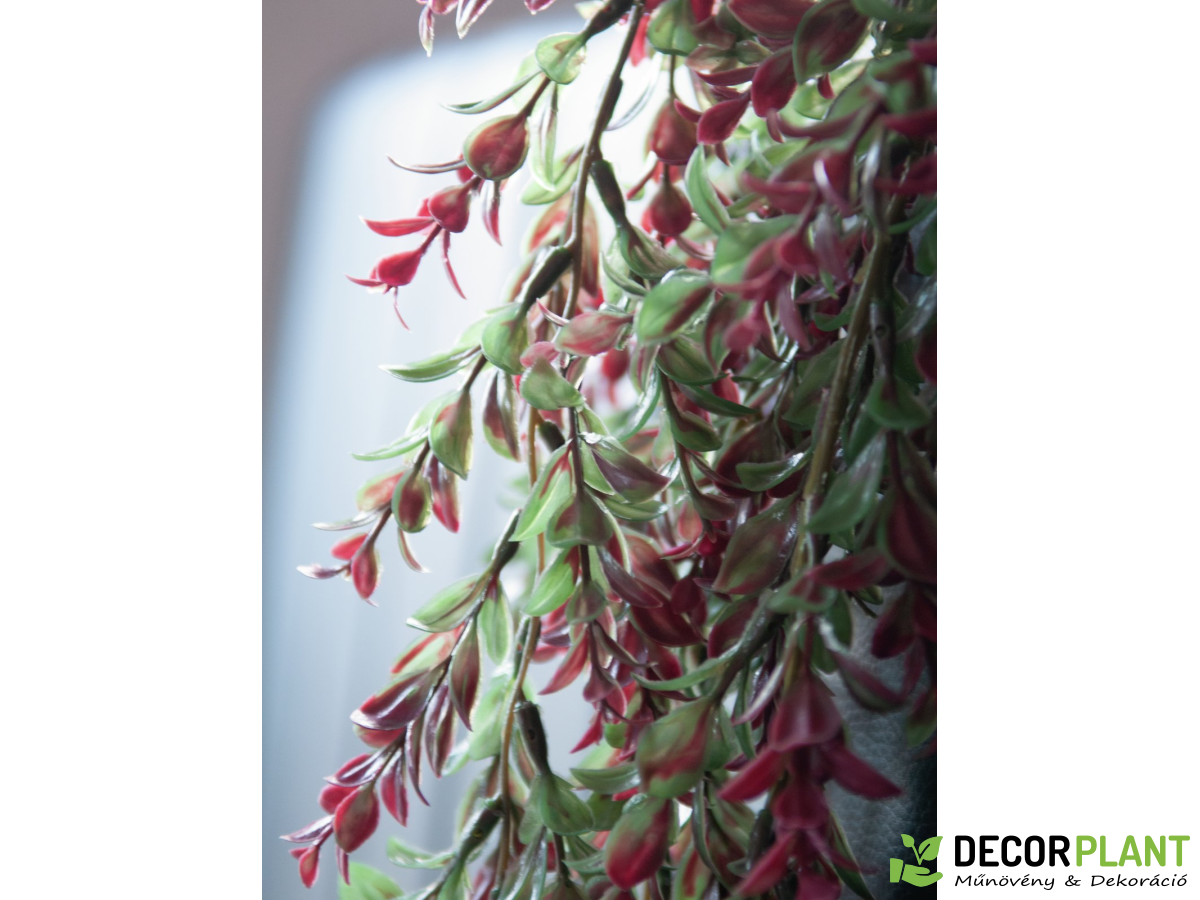 EUROPALMS Grass tendril