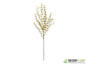 EUROPALMS Eucalyptus spray