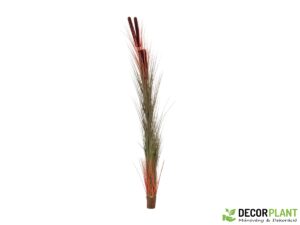 EUROPALMS Reed grass with cattails