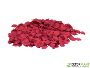 EUROPALMS Rose Petals