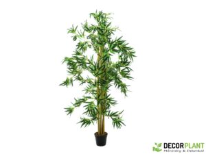EUROPALMS Bamboo multi trunk