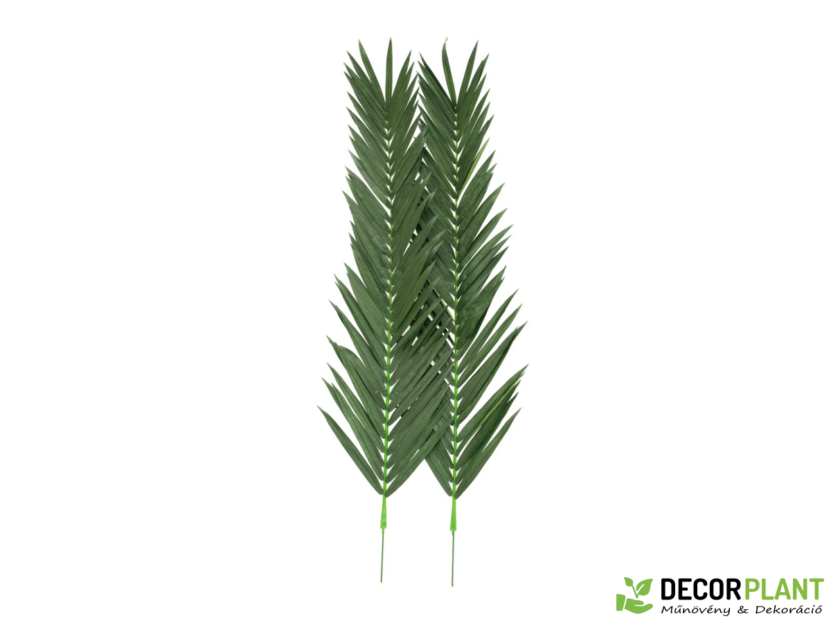 EUROPALMS Coconut king palm branch