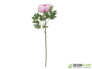 EUROPALMS Peony Branch classic