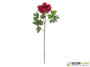 EUROPALMS Peony Branch classic