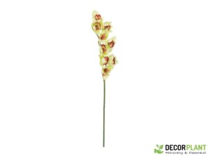 EUROPALMS Cymbidium branch