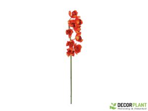 EUROPALMS Cymbidium branch