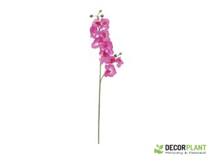 EUROPALMS Orchid branch