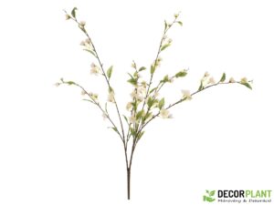 EUROPALMS Cherry spray