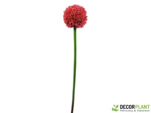 EUROPALMS Allium spray