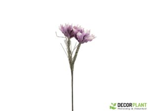 EUROPALMS Magnolia Branch (EVA)