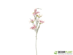 EUROPALMS Magnolia branch (EVA)