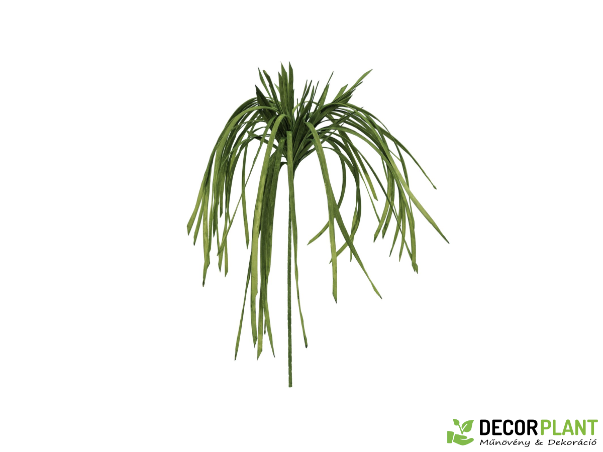 EUROPALMS Sea grass (EVA) EUROPALMS Sea grass (EVA)