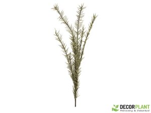 EUROPALMS Rosemary Twig (EVA)