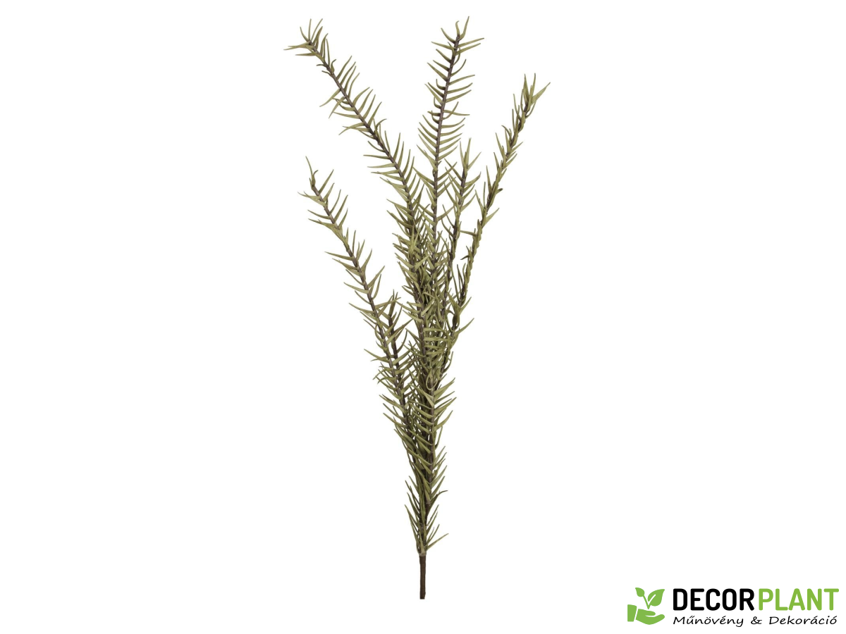 EUROPALMS Rosemary Twig (EVA) EUROPALMS Rosemary Twig (EVA)