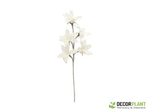 EUROPALMS Clematis Branch (EVA)