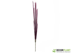 EUROPALMS Magic Onion Stalks