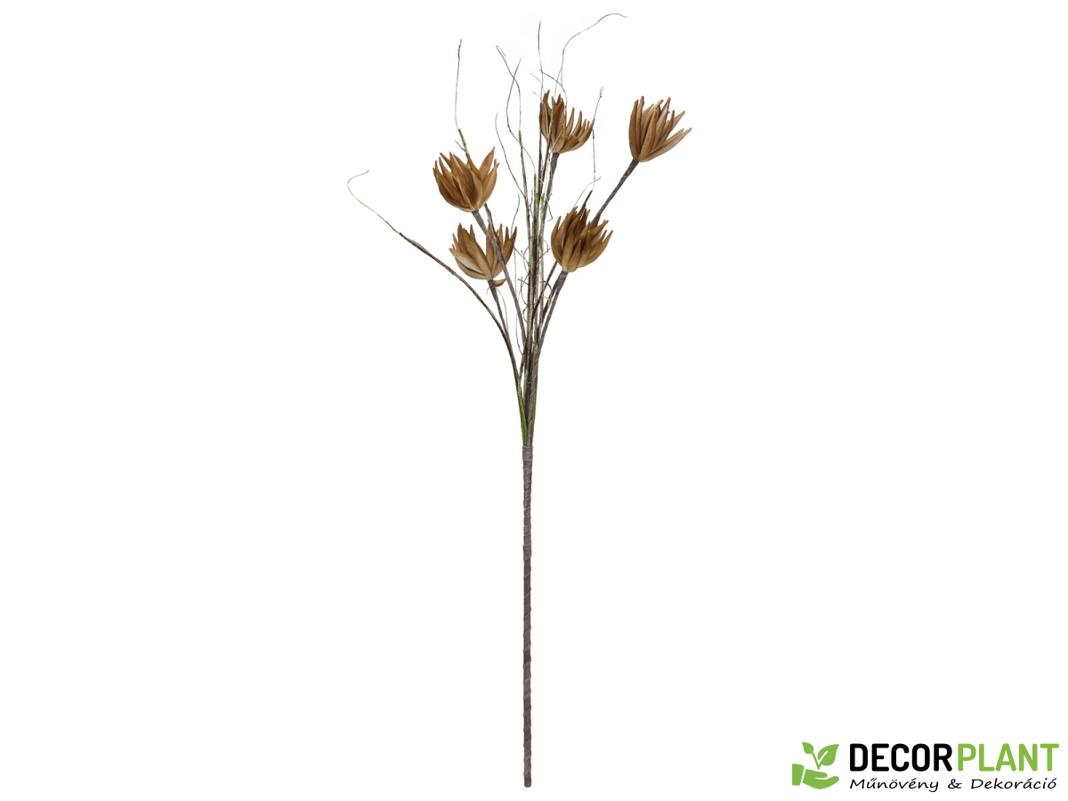 EUROPALMS Artichoke Branch (EVA) EUROPALMS Artichoke Branch (EVA)