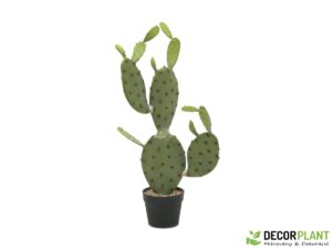 EUROPALMS Nopal cactus