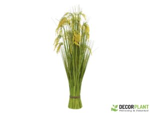 EUROPALMS Reed Grass Bunch