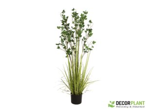 EUROPALMS Evergreen shrub with grass
