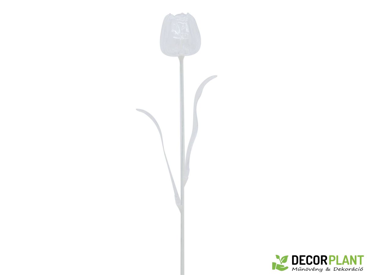 EUROPALMS Crystal tulip EUROPALMS Crystal tulip