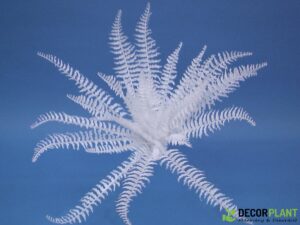 EUROPALMS White boston fern