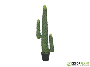EUROPALMS Mexican cactus