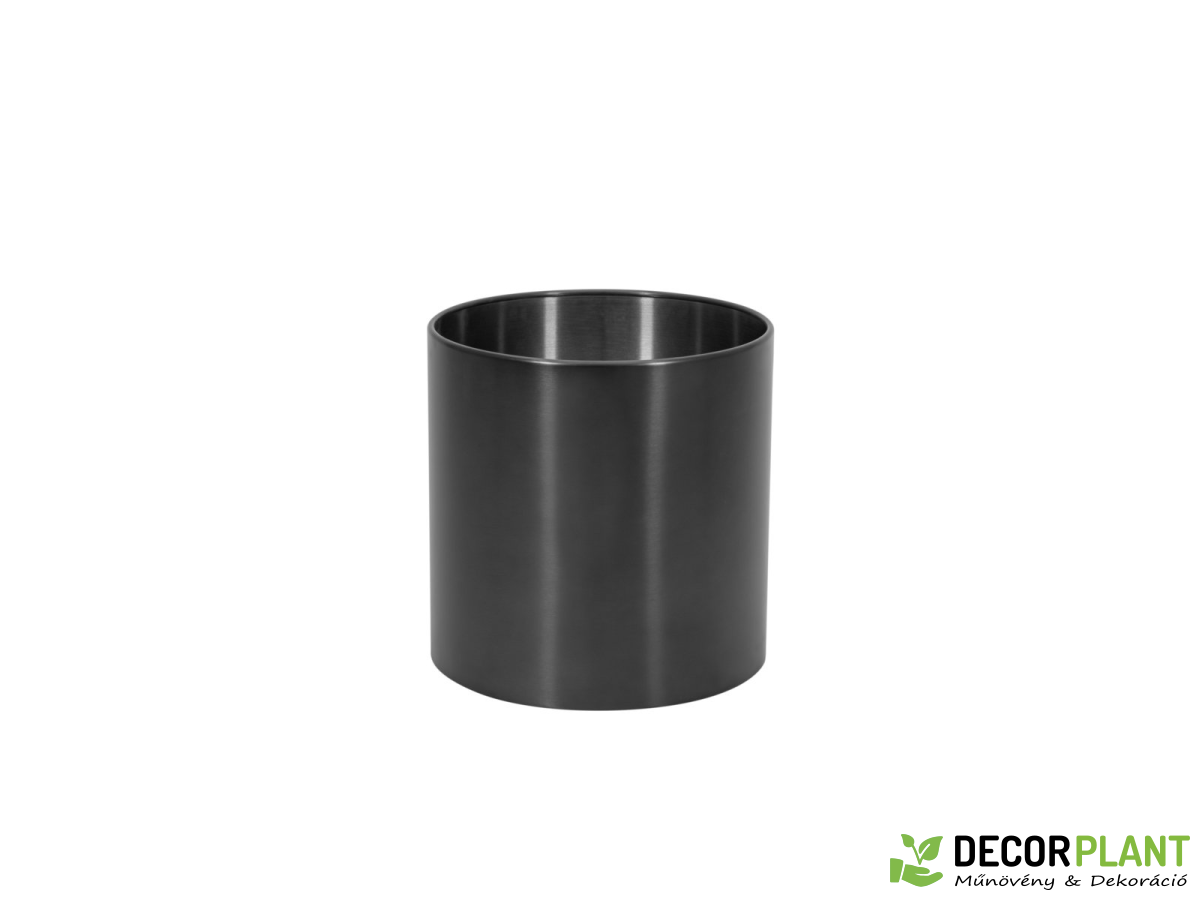 EUROPALMS STEELECHT-40 Nova EUROPALMS STEELECHT-40 Nova