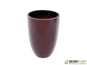 EUROPALMS LEICHTSIN CUP-49