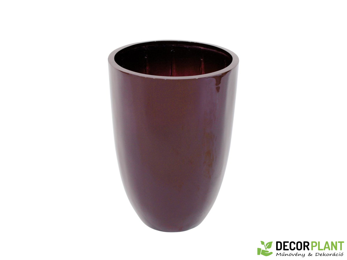 EUROPALMS LEICHTSIN CUP-49 EUROPALMS LEICHTSIN CUP-49