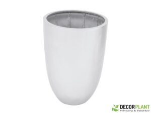 EUROPALMS LEICHTSIN CUP-69