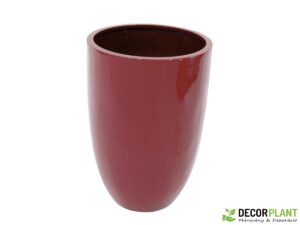 EUROPALMS LEICHTSIN CUP-69