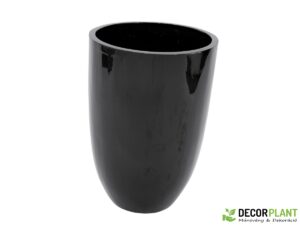 EUROPALMS LEICHTSIN CUP-69