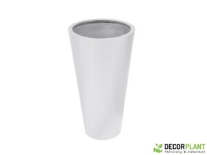 EUROPALMS LEICHTSIN ELEGANCE-69