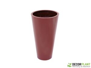 EUROPALMS LEICHTSIN ELEGANCE-69