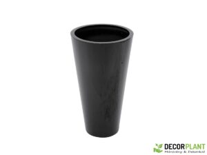 EUROPALMS LEICHTSIN ELEGANCE-69