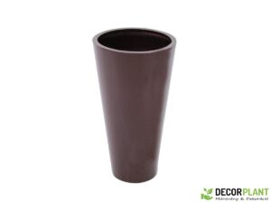 EUROPALMS LEICHTSIN ELEGANCE-69