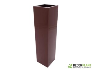 EUROPALMS LEICHTSIN BOX-120