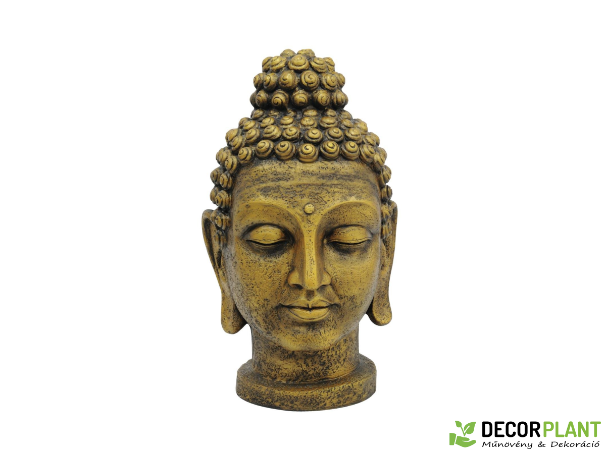 EUROPALMS Head of Buddha EUROPALMS Head of Buddha