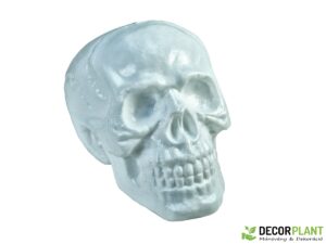 EUROPALMS Halloween Skull