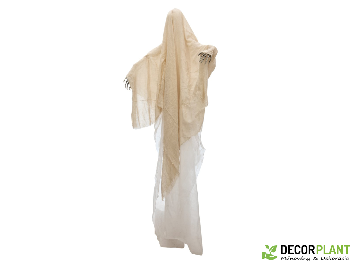 illuminated illuminated